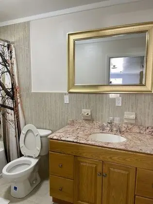 Premium Apart Daire, 1 Büyük (Queen) Boy Yatak ve Çekyat