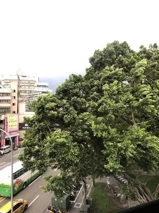 Comfort Tek Büyük Yataklı Oda, 1 Çift Kişilik Yatak