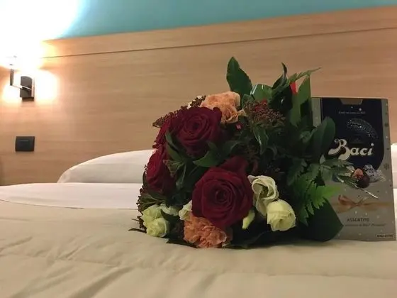 Classic Tek Büyük Yataklı Oda, 1 En Büyük (King) Boy Yatak, Şehir Manzaralı