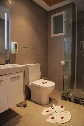Deluxe Tek Büyük veya İki Ayrı Yataklı Oda, 1 Yatak Odası, Sigara İçilmez