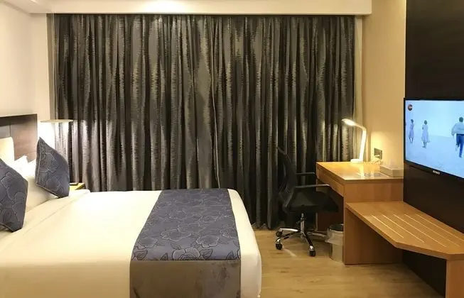 Premium Oda, 1 En Büyük (King) Boy Yatak, Şehir Manzaralı