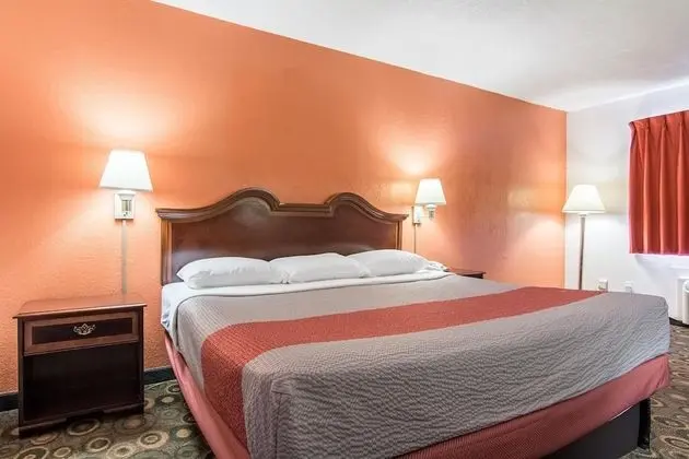 Deluxe Oda, 1 En Büyük (King) Boy Yatak, Sigara İçilmez, Buzdolabı ve Mikrodalga