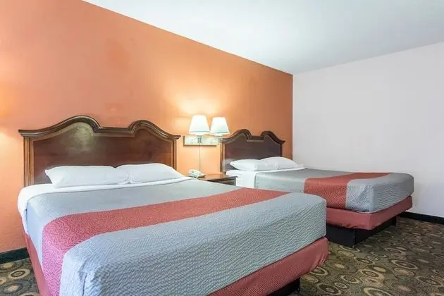 Deluxe Oda, 2 Büyük (Queen) Boy Yatak, Sigara İçilmez, Buzdolabı ve Mikrodalga