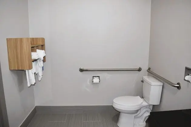Oda, 1 En Büyük (King) Boy Yatak, Engellilere Uygun, Sigara İçilmez (Roll-In Shower)