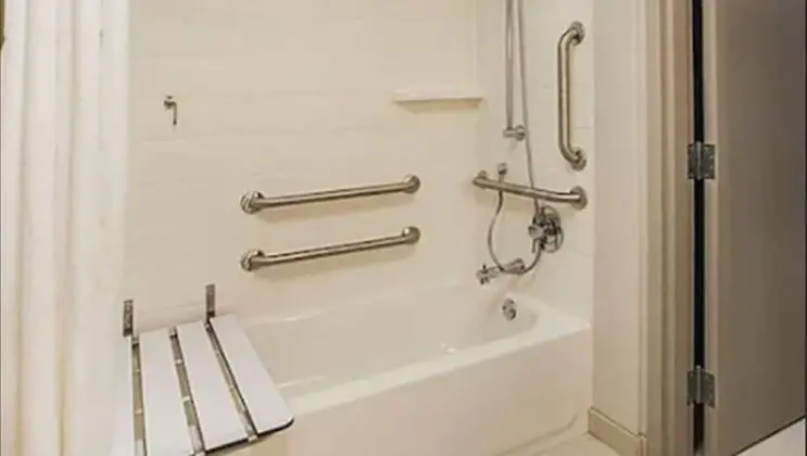 Süit, 1 En Büyük (King) Boy Yatak, Engellilere Uygun (Accessible Tub)