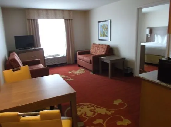 Süit, 1 En Büyük (King) Boy Yatak, Sigara İçilmez (One-Bedroom Suite)