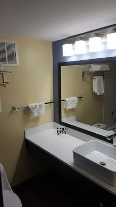 Stüdyo Süit, 1 En Büyük (King) Boy Yatak, Sigara İçilmez