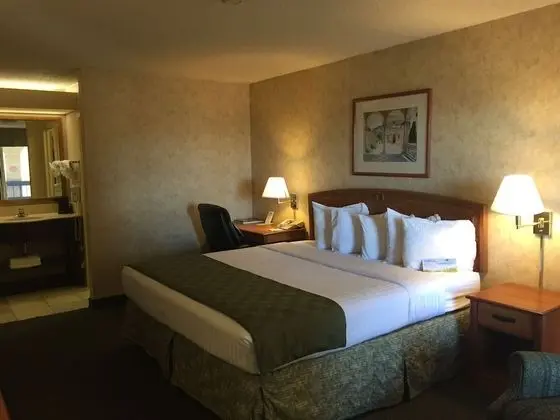 Süit, 1 En Büyük (King) Boy Yatak, Sigara İçilmez (One-Bedroom Suite)