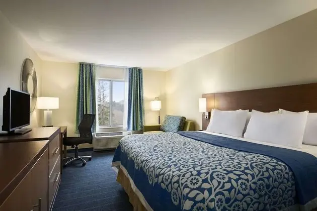 Deluxe Süit, 1 En Büyük (King) Boy Yatak, Sigara İçilmez (One Bedroom)