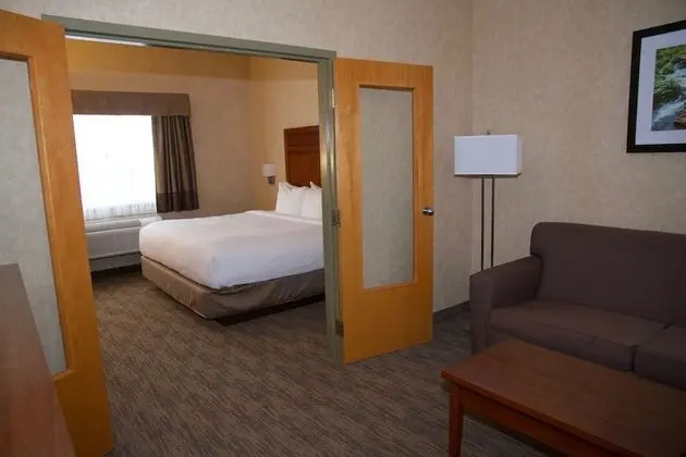 Süit, 1 En Büyük (King) Boy Yatak ve Çekyat, Sigara İçilmez (Two Bedroom Suite)