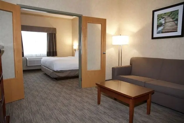 Süit, 1 En Büyük (King) Boy Yatak ve Çekyat, Sigara İçilmez (Two Bedroom Suite)