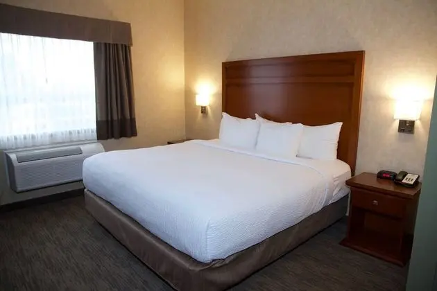 Süit, 1 En Büyük (King) Boy Yatak ve Çekyat, Sigara İçilmez (Two Bedroom Suite)