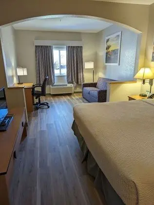 Stüdyo Süit, 1 En Büyük (King) Boy Yatak, Sigara İçilmez