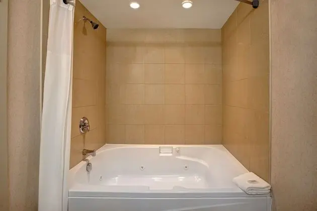 Tek Kişilik Oda, 1 En Büyük (King) Boy Yatak, Sigara İçilmez (with Sofa Bed)