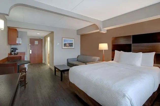 Tek Kişilik Oda, 2 Büyük (Queen) Boy Yatak, Sigara İçilmez (with Sofa Bed)