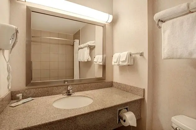 Tek Kişilik Oda, 2 Büyük (Queen) Boy Yatak, Sigara İçilmez (with Sofa Bed)