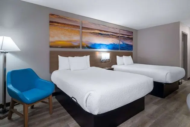 Oda, 2 Büyük (Queen) Boy Yatak, Sigara İçilmez (Pet Friendly)