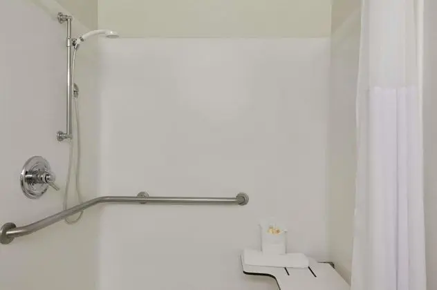 Oda, 1 En Büyük (King) Boy Yatak, Engellilere Uygun, Sigara İçilmez (Mobility,Roll-In Shower)