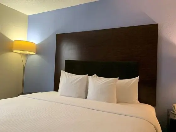 Deluxe Stüdyo Süit, 1 En Büyük (King) Boy Yatak, Sigara İçilmez