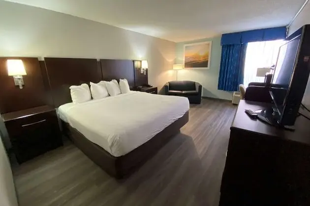 Oda, 1 En Büyük (King) Boy Yatak, Engellilere Uygun, Sigara İçilmez (Mobility)