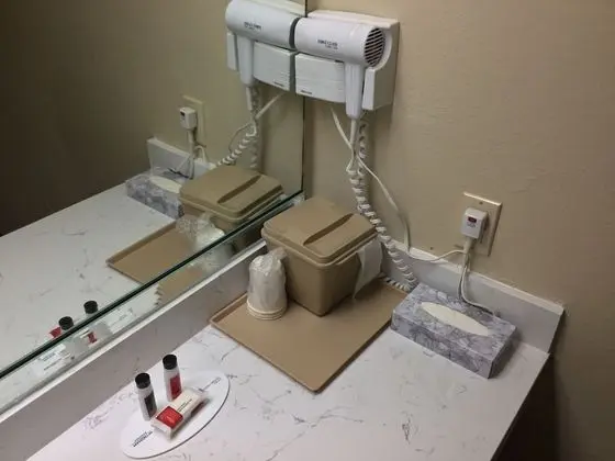 Oda, 1 En Büyük (King) Boy Yatak, Engellilere Uygun, Sigara İçilmez (Mobility,Roll-In Shower)