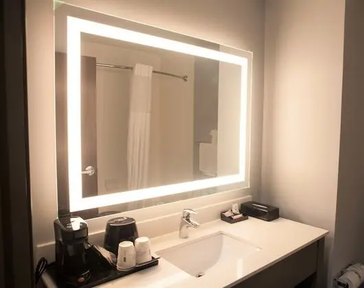 Süit, 1 En Büyük (King) Boy Yatak, Engellilere Uygun, Sigara İçilmez (Tub with Grab Bars)