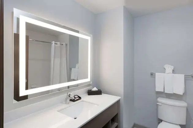 Süit, 1 En Büyük (King) Boy Yatak, Engellilere Uygun, Sigara İçilmez (Tub with Grab Bars)