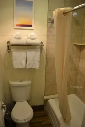Oda, 1 Büyük (Queen) Boy Yatak, Sigara İçilmez