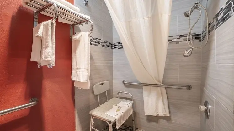 Oda, 2 Büyük (Queen) Boy Yatak, Engellilere Uygun, Sigara İçilmez (Mobility, Roll-In Shower)