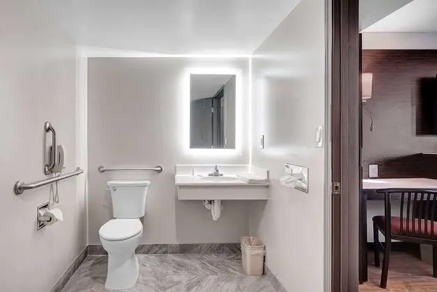 Deluxe Süit, 1 En Büyük (King) Boy Yatak, Sigara İçilmez