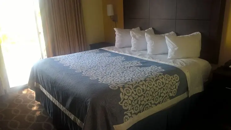 Süit, 1 En Büyük (King) Boy Yatak, Sigara İçilmez, Manzaralı (One Bedroom, Poolside View)