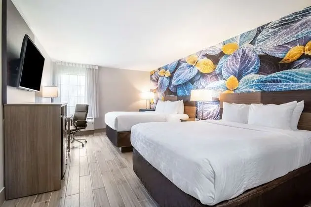 Oda, 2 Büyük (Queen) Boy Yatak, Sigara İçilmez (Pet Friendly)