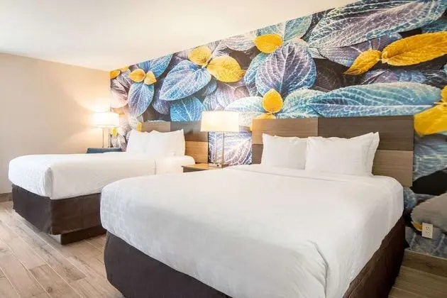 Oda, 2 Büyük (Queen) Boy Yatak, Sigara İçilmez (Pet Friendly)