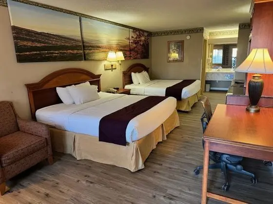 Oda, Birden Çok Yatak, Sigara İçilmez (2 King beds)