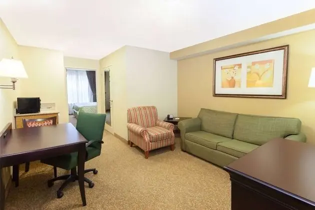 Süit, 1 En Büyük (King) Boy Yatak, Sigara İçilmez (One-Bedroom)