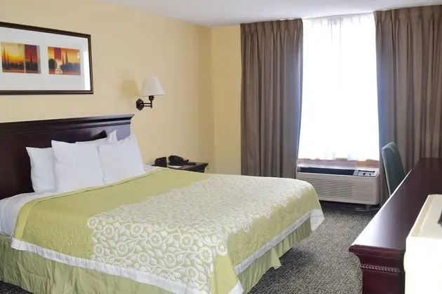 Süit, 1 En Büyük (King) Boy Yatak, Sigara İçilmez (One-Bedroom)