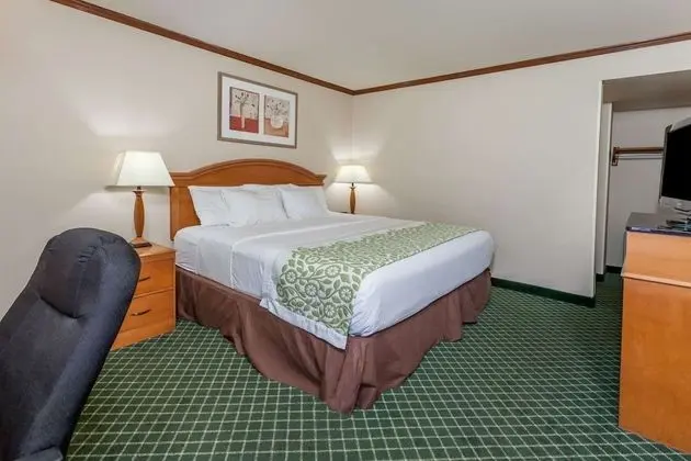 Süit, 1 En Büyük (King) Boy Yatak, Sigara İçilmez (One-Bedroom)