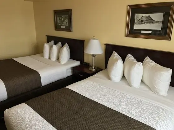 Standard Oda, 2 Büyük (Queen) Boy Yatak, Sigara İçilmez (Pet Friendly)