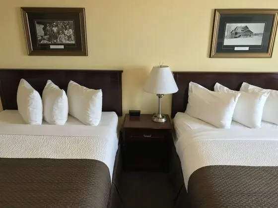 Standard Oda, 2 Büyük (Queen) Boy Yatak, Sigara İçilmez (Pet Friendly)