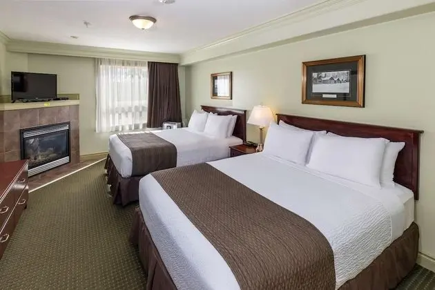 Standard Oda, 2 Büyük (Queen) Boy Yatak, Sigara İçilmez (Pet Friendly)