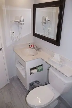 Süit, 1 En Büyük (King) Boy Yatak, Sigara İçilmez (One-Bedroom Suite)