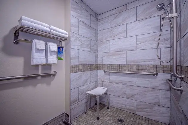 Oda, 1 Büyük (Queen) Boy Yatak, Engellilere Uygun, Sigara İçilmez (Mobility Accessible Room)