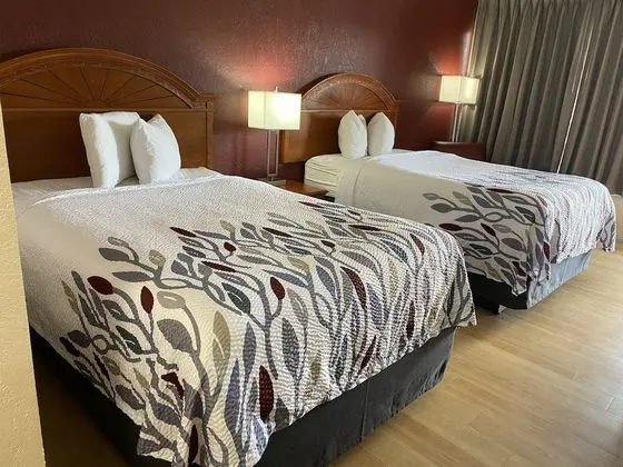 Deluxe Oda, 2 Çift Kişilik Yatak, Sigara İçilebilir