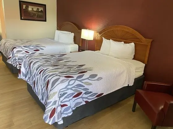 Deluxe Oda, 2 Çift Kişilik Yatak, Sigara İçilebilir