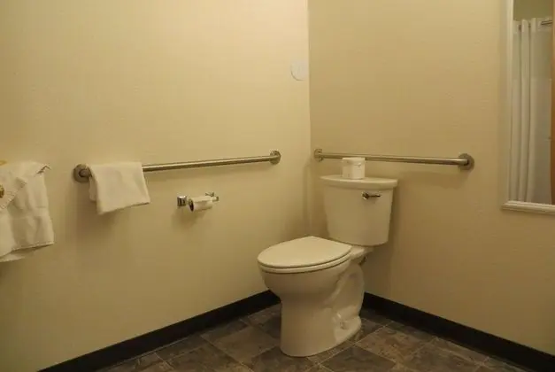 Oda, 1 En Büyük (King) Boy Yatak, Engellilere Uygun (Mobility/Hearing/Roll-In Shower)