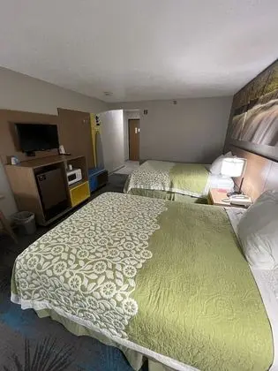 Oda, 2 Çift Kişilik Yatak, Engellilere Uygun, Sigara İçilmez (Mobility)