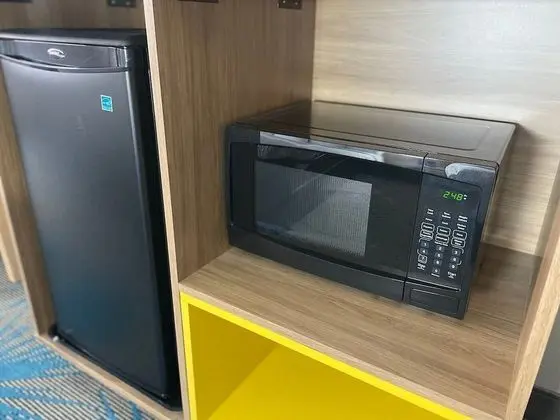 Oda, 1 En Büyük (King) Boy Yatak, Engellilere Uygun, Sigara İçilmez (Roll-In Shower)