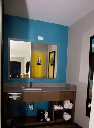 Oda, 1 En Büyük (King) Boy Yatak, Engellilere Uygun, Sigara İçilmez (Roll-In Shower)