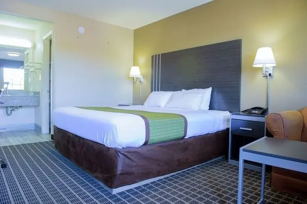 Oda, 1 En Büyük (King) Boy Yatak, Sigara İçilmez (Pet-Friendly)