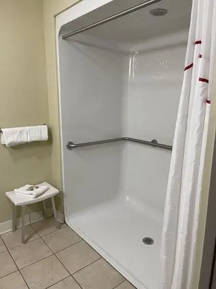Deluxe Oda, 1 En Büyük (King) Boy Yatak, Engellilere Uygun, Sigara İçilmez (Roll-In Shower)